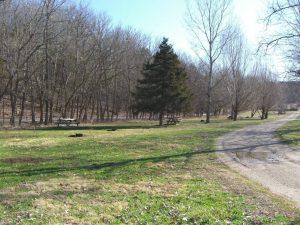 A park with trees and benches in the background.