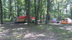 A group of tents in the woods with trees.