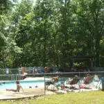 Outdoor public swimming pool on a sunny day with people swimming, sunbathing, and relaxing under shaded areas surrounded by trees.