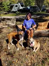 Woman sitting outdoors with three bulldogs on leashes, smiling, with an rv and trees in the background.