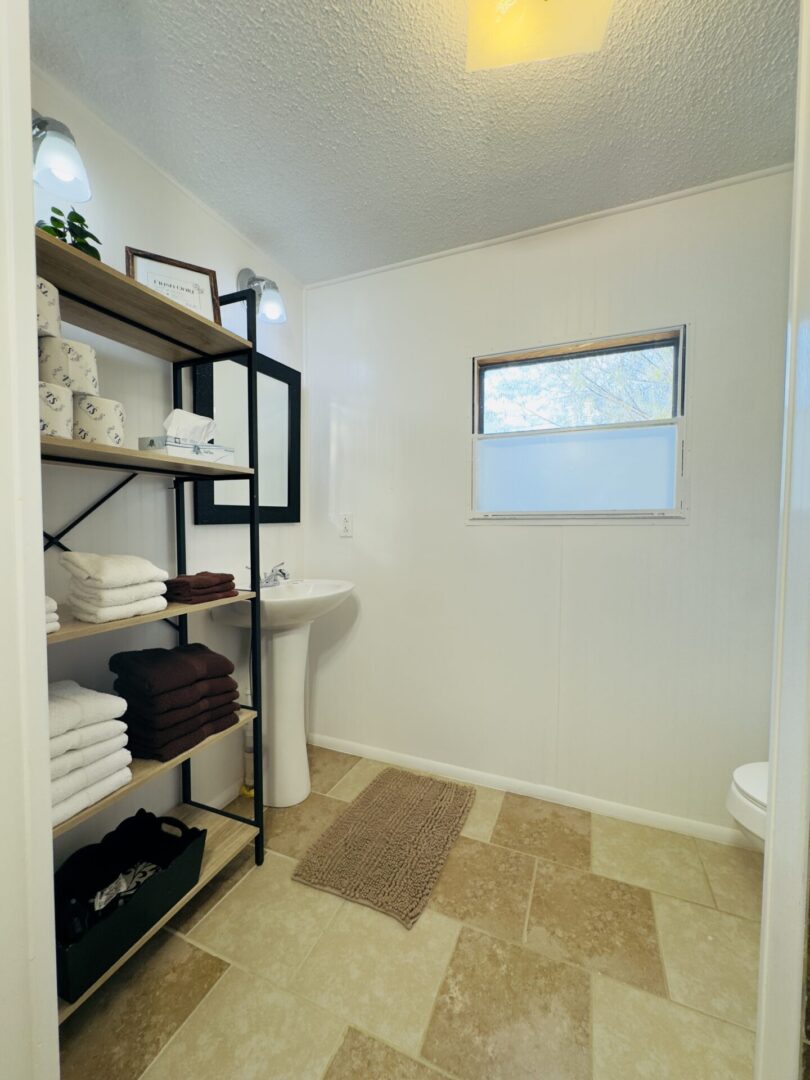 Modern bathroom with shelves and sink.