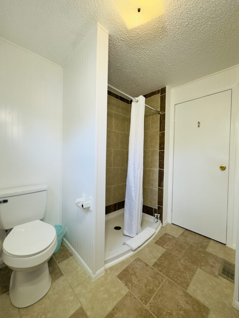 Small bathroom with shower and toilet.
