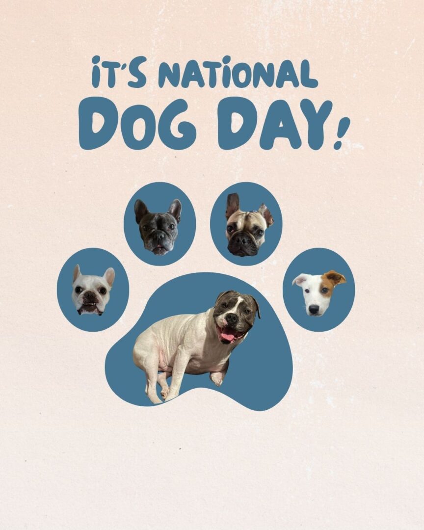 _Happy National Dog Day